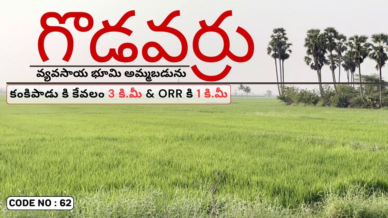 Agriculture Land For Sale In Godavarru | Godavarrru Land For Sale | AgricultureLand For Sale