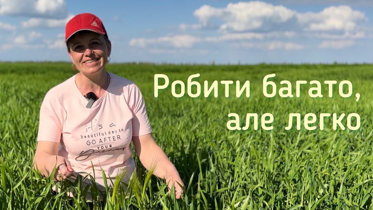 На полях фермерського господарства Носач | Пшениця | Ячмінь | Ріпак | Внесення гною на зернові
