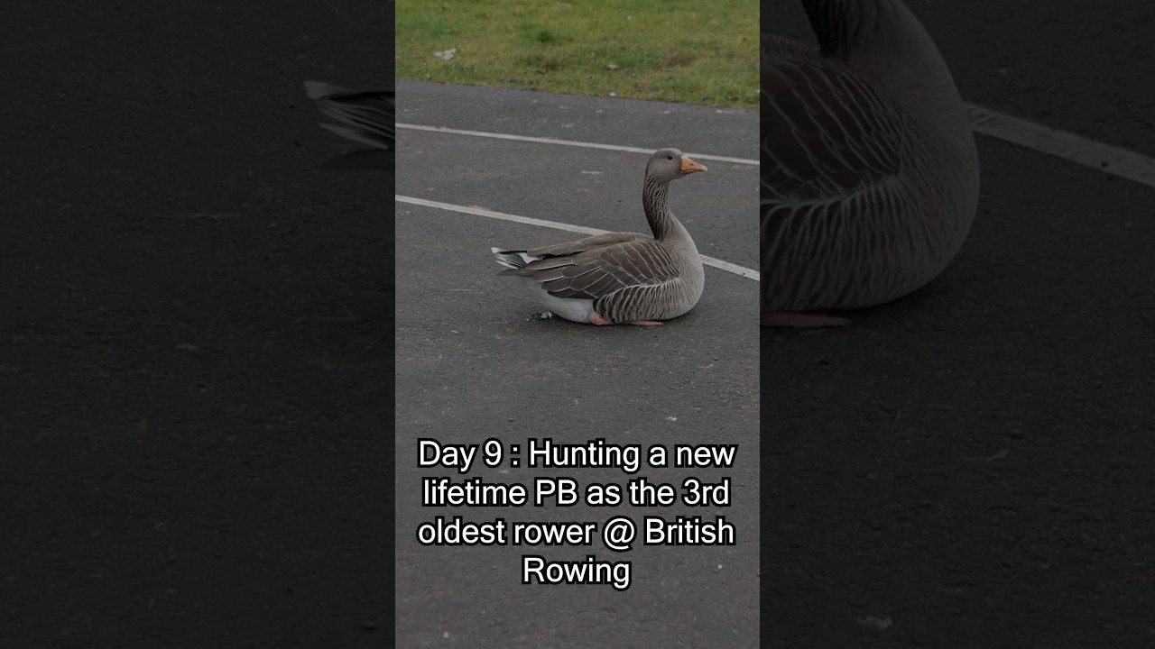 Day 9: Hunting for a new lifetime PB as the 3rd oldest rower at British Rowing #rowing