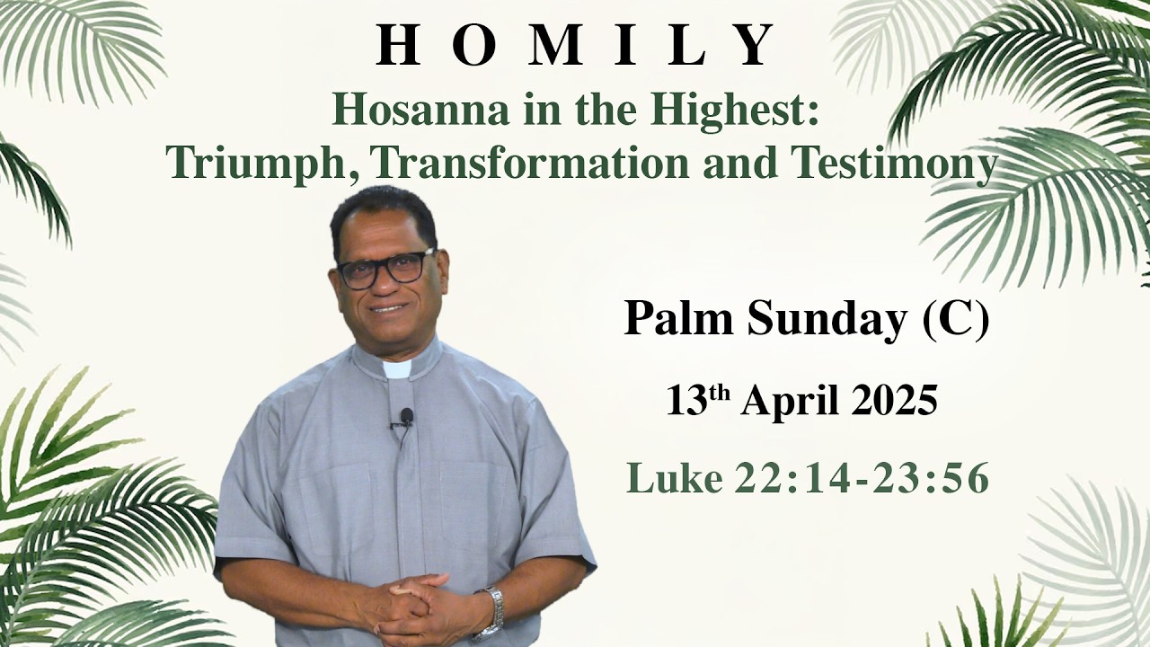 Palm Sunday | Homily (Year C) Triumph, Transformation & Testimony | Homily 13 April 2025 | Luke 22