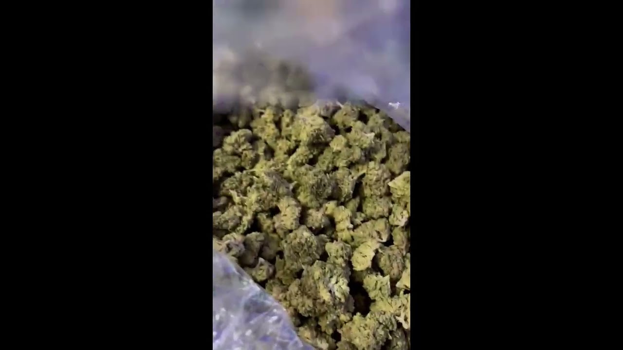 Cheapest THCA Flower Pounds 2026: Smalls &bull; Classic Reserve &bull; Top Shelf &bull; AAA Indoor &bull; Exotic Indoor