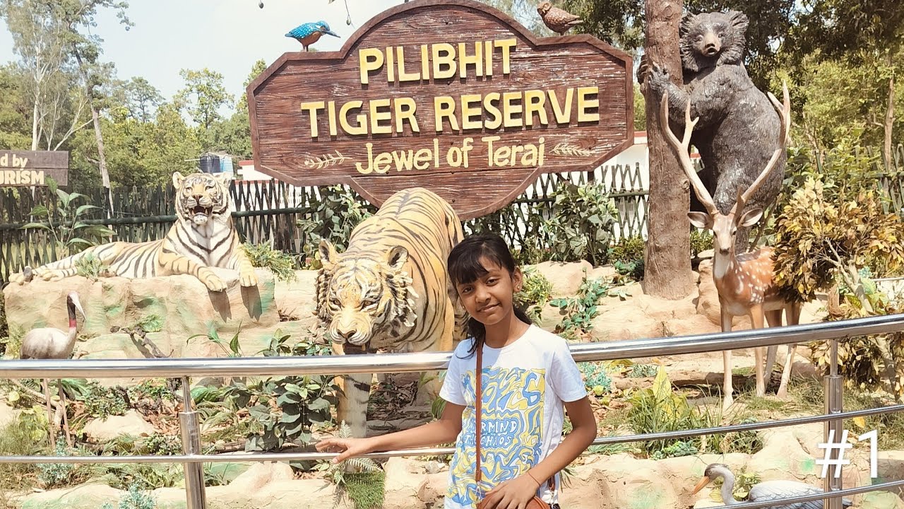 Chuka Beach Vlog #1 Pilibhit Tiger Reserve