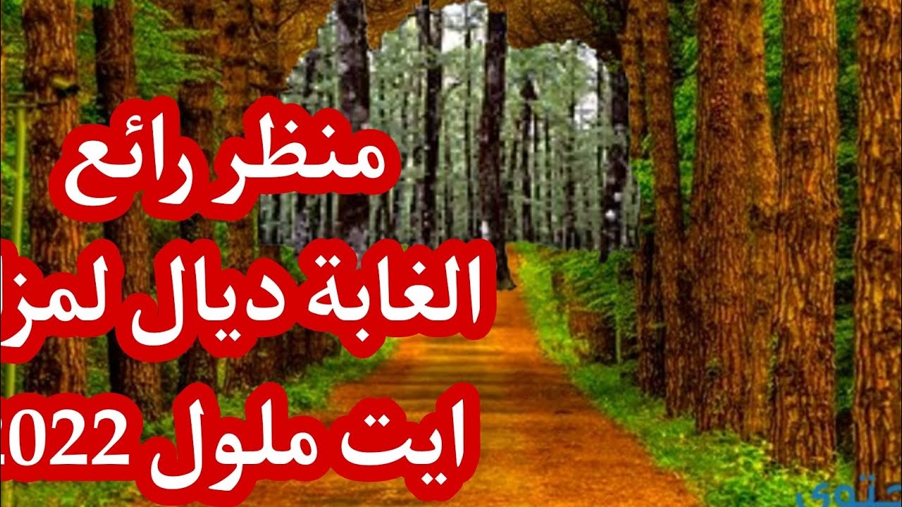 غابة المزار ايت ملول إنزكان من الأماكن الهادئة تستقطب العديد من العائلات كل من ايت ملول أكادير ..