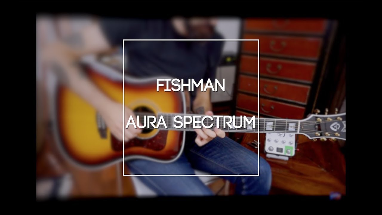 Amplificare BENE la chitarra acustica: Fishman Aura Spectrum!