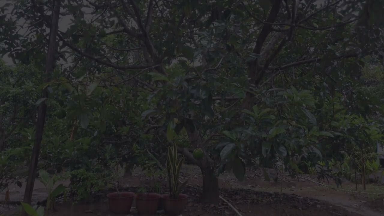 Heavy Rainstorm Sounds for Sleeping Fast  Relaxing ASMR 🌧️😴