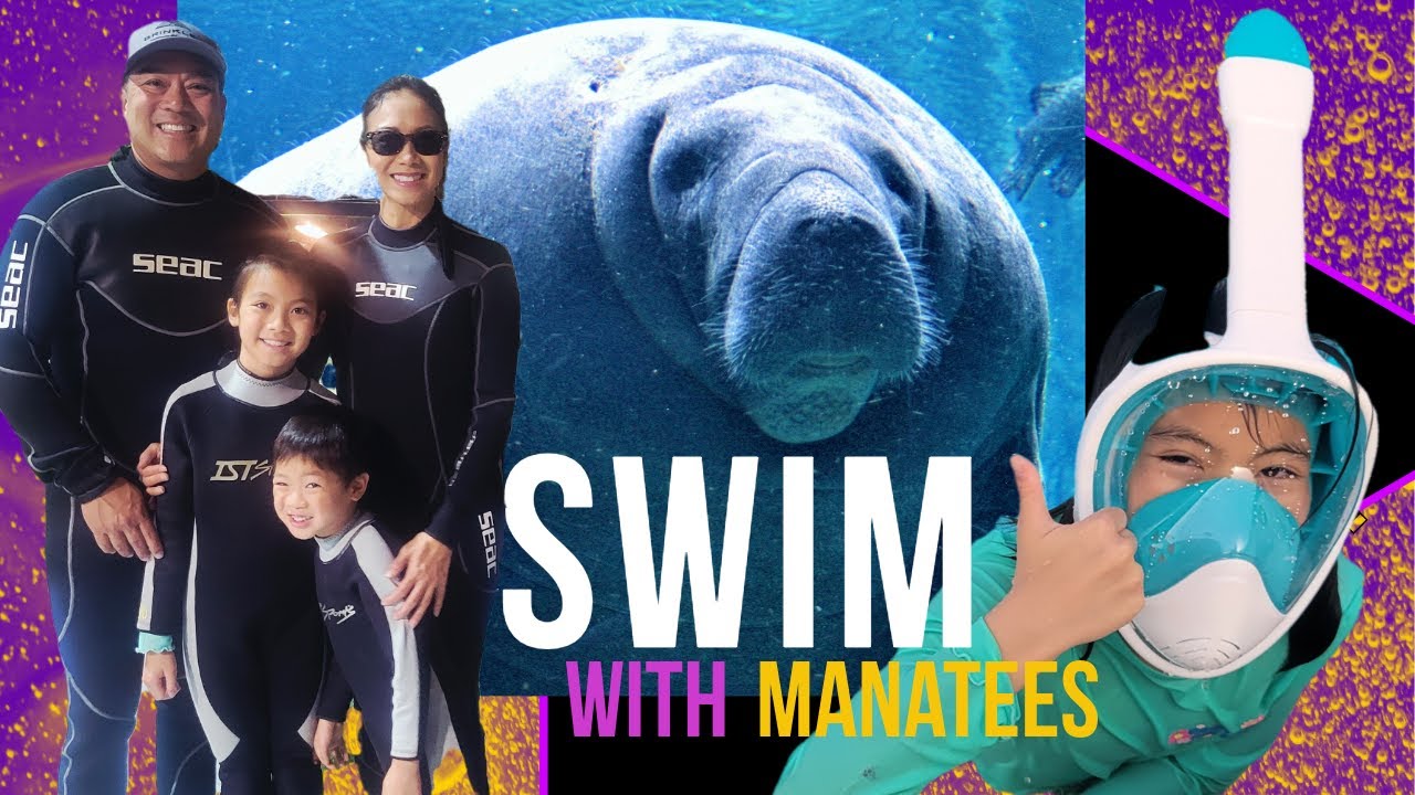 Swimming With Manatees in Crystal River, Florida 🐋  Family-Friendly Adventure & RV Experience