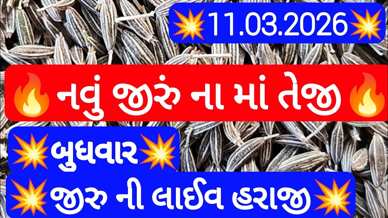 આજના જીરુ ના ભાવ | જીરુ ના ભાવ | જીરુ નો ભાવ jeera na bajar bhav | Gondal marketing yard 11-03-2026
