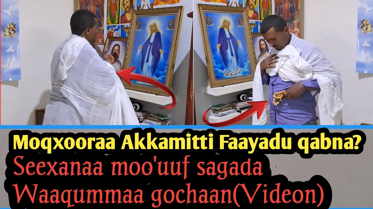 Seexanaa moo'uuf sagada Waaqummaa gochaan |Videon| Akkamitti akka sagaduu qabnu ilaalaa