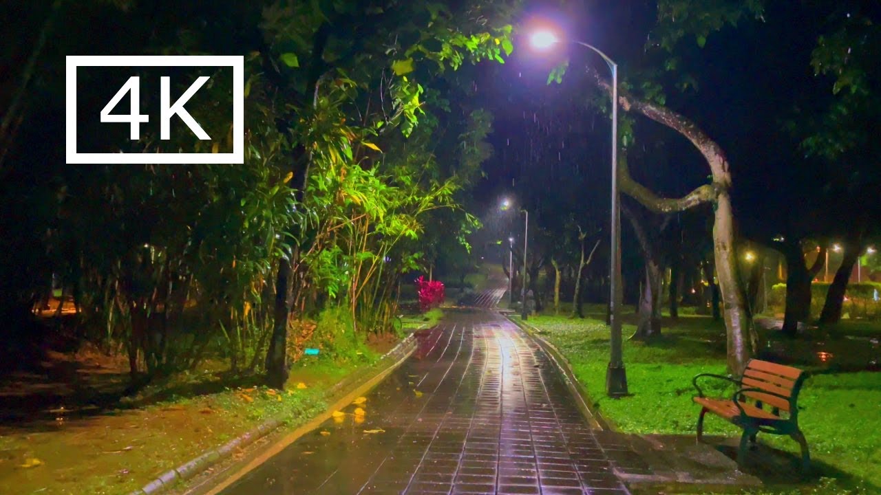 A Relaxing Walk in the Rain, Daan Forest Park - 4K