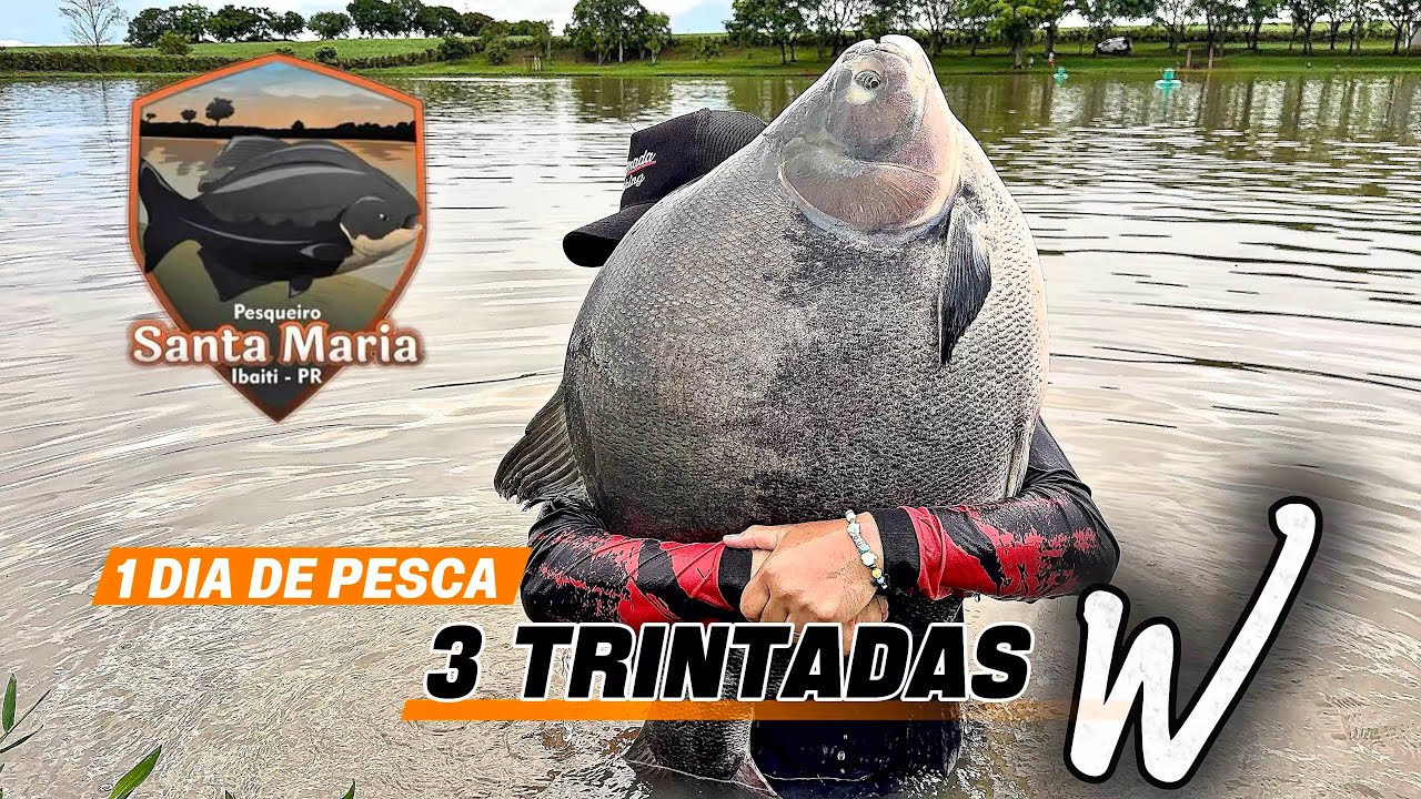 3 TRINTADAS em 1 Dia de Pesca com os Amigos no Pesqueiro Santa Maria Dezembro 2025