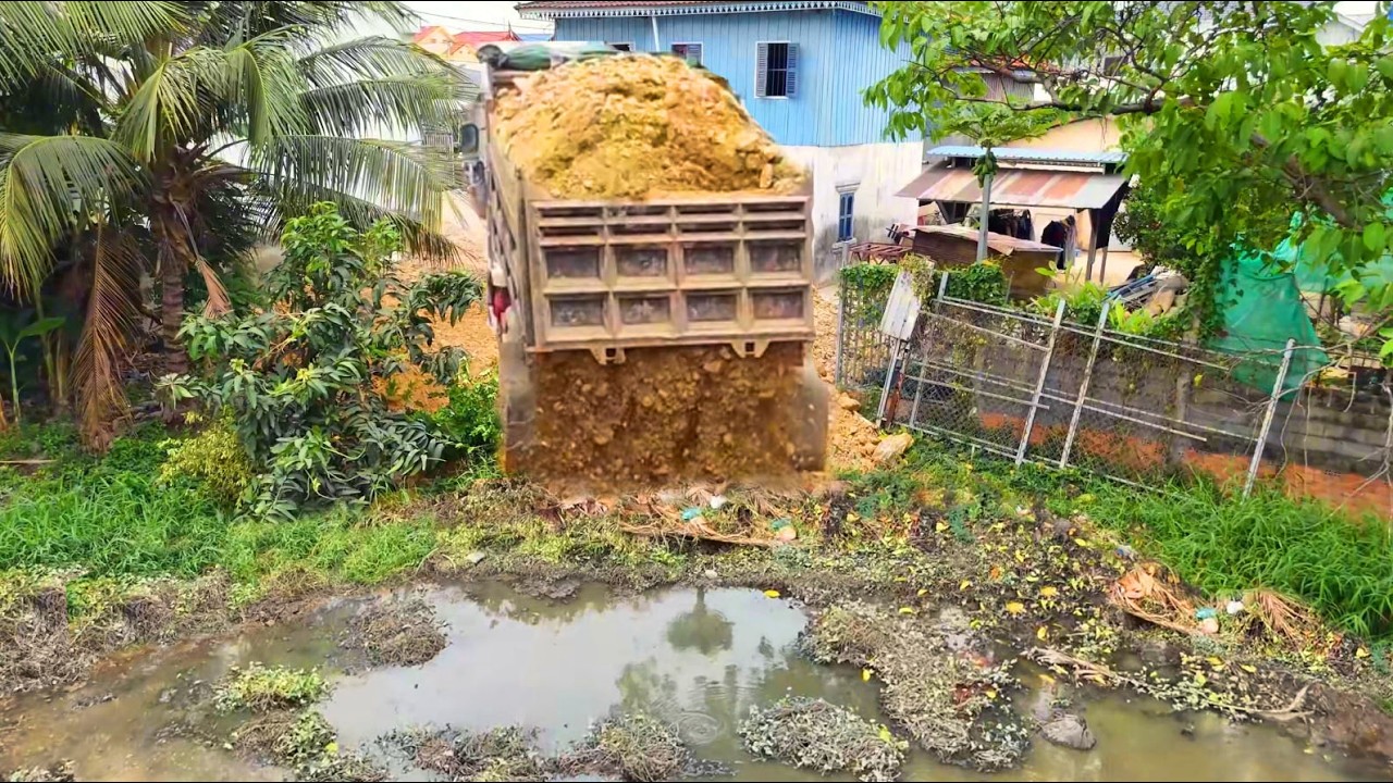 Perfectly Started New Project!Delete Pond Using 5TonTrucks Filling Land, Machine Dozer D21 Push Soil