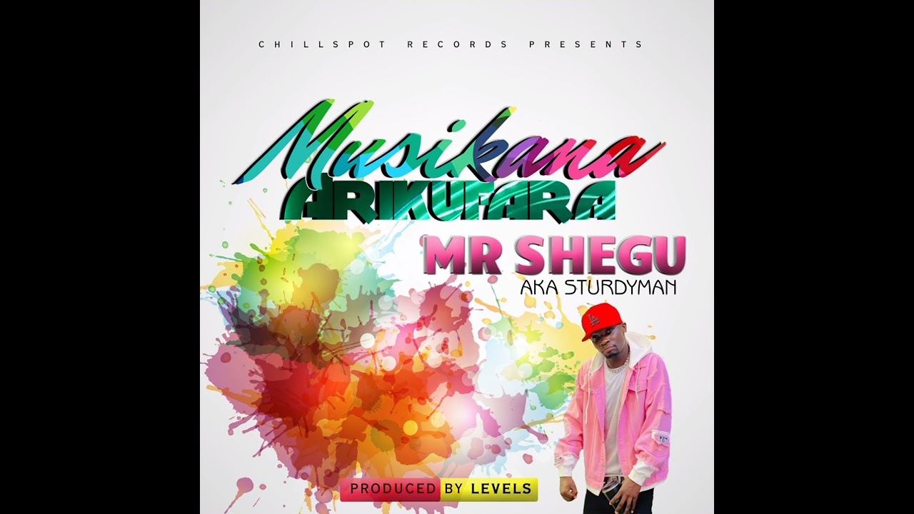 Mr Shegu-Sturdyman - Musikana Arikufara (Official Audio) prd by Levels Chilspot