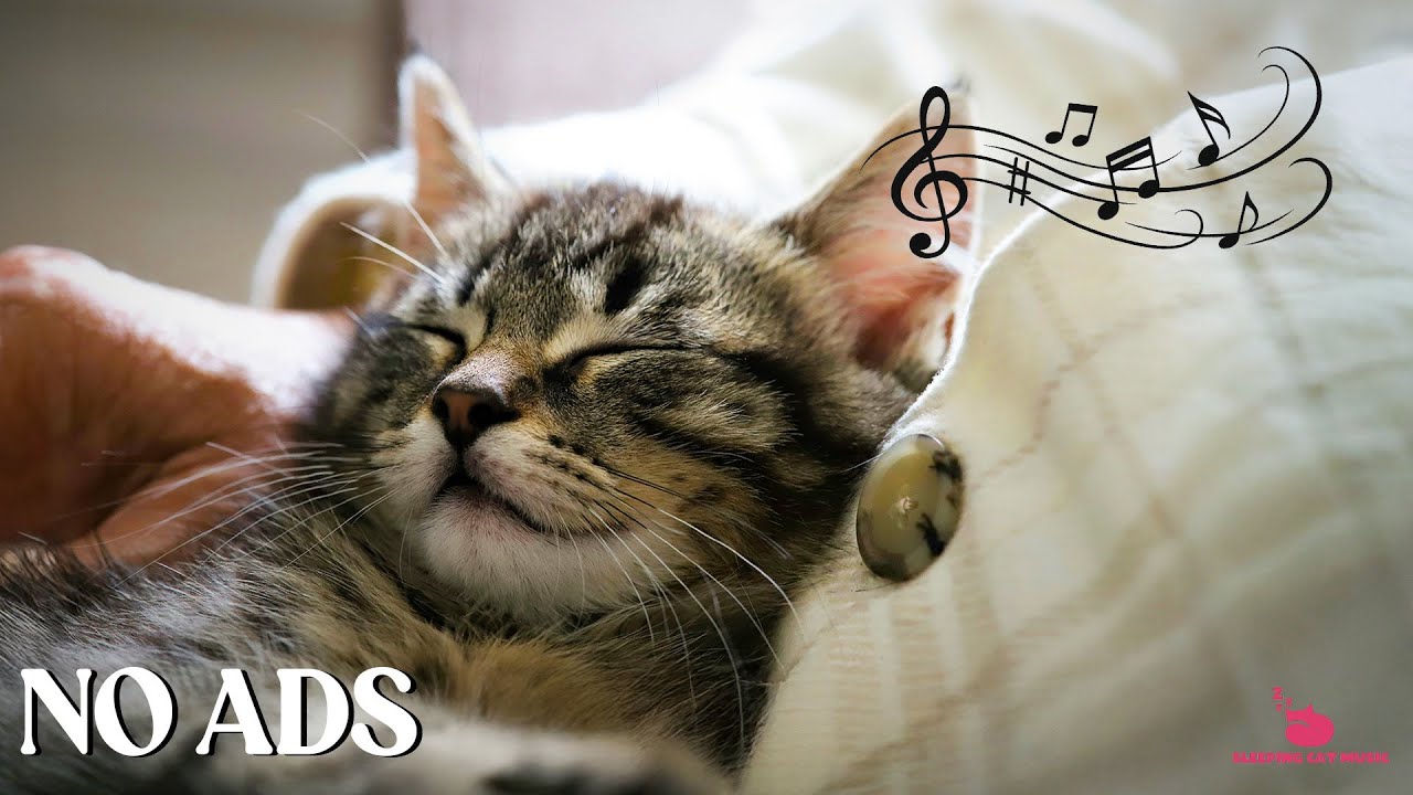 12 HOURS of Relaxing Music for Cats - Soothing Music | Sleepy Cat