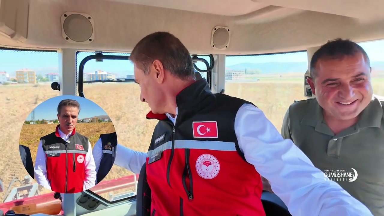 Kelkit ilçemizde coğrafi işaret belgeli Şeker Fasulyesi hasadı başladı