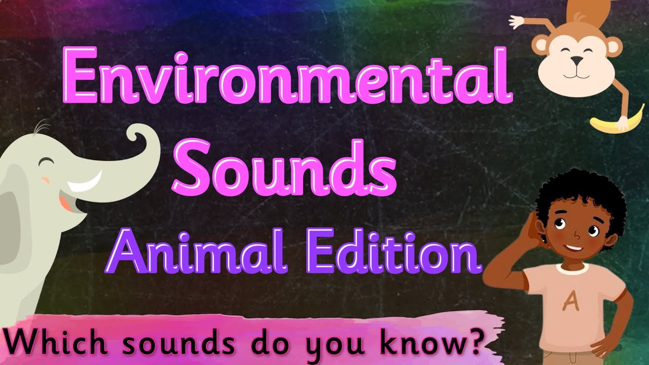 PHONICS LISTENING GAME👂 ENVIRONMENTAL SOUNDS ANIMALS | Miss Ellis #phase1phonics