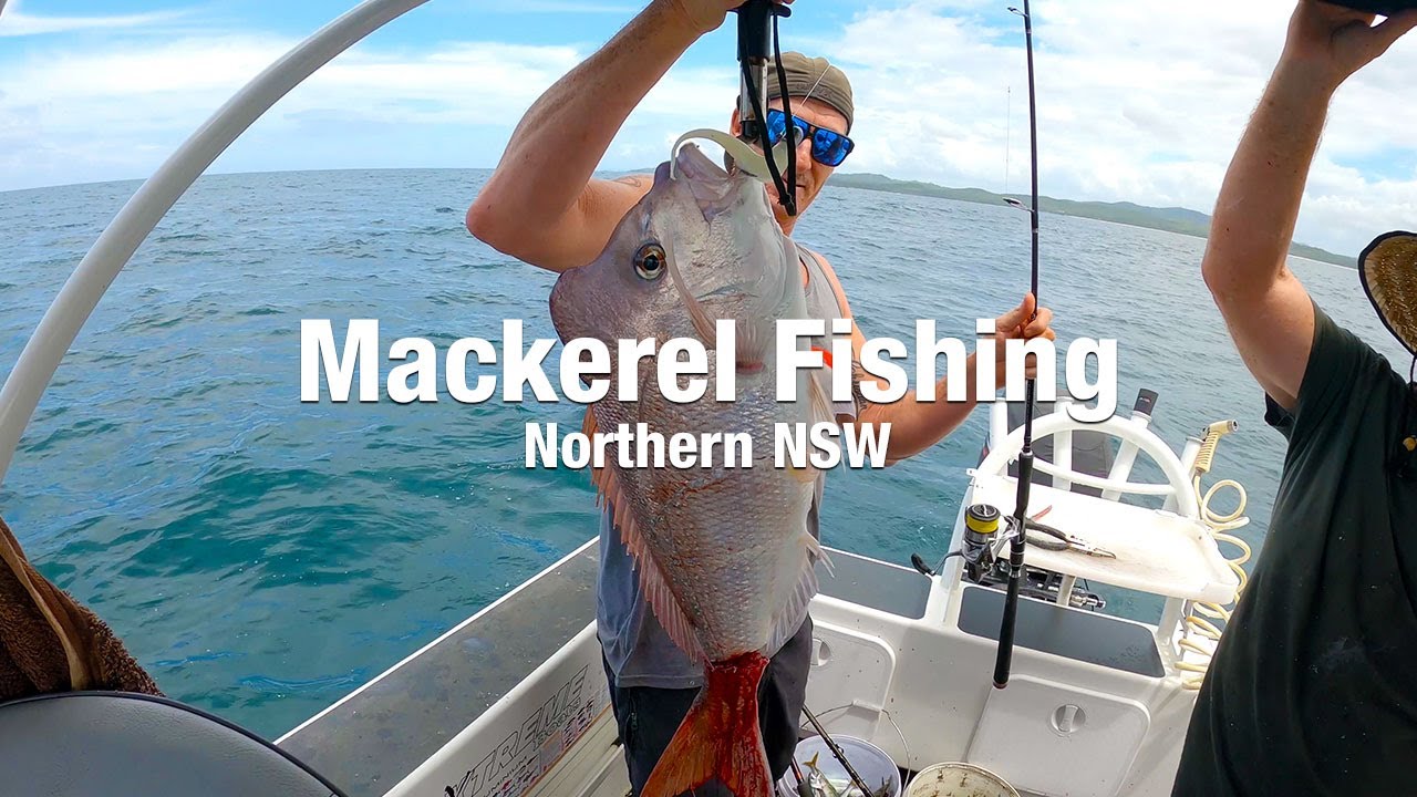 Mackerel and Snapper Fishing Northern NSW