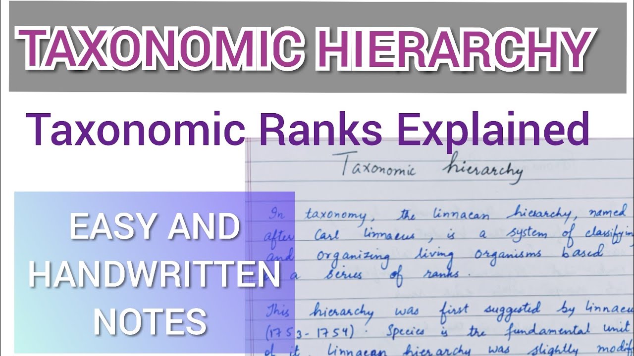 Taxonomic Hierarchy in Detail: Taxonomic Ranks | BSc, MSc Botany, Zoology, Biology