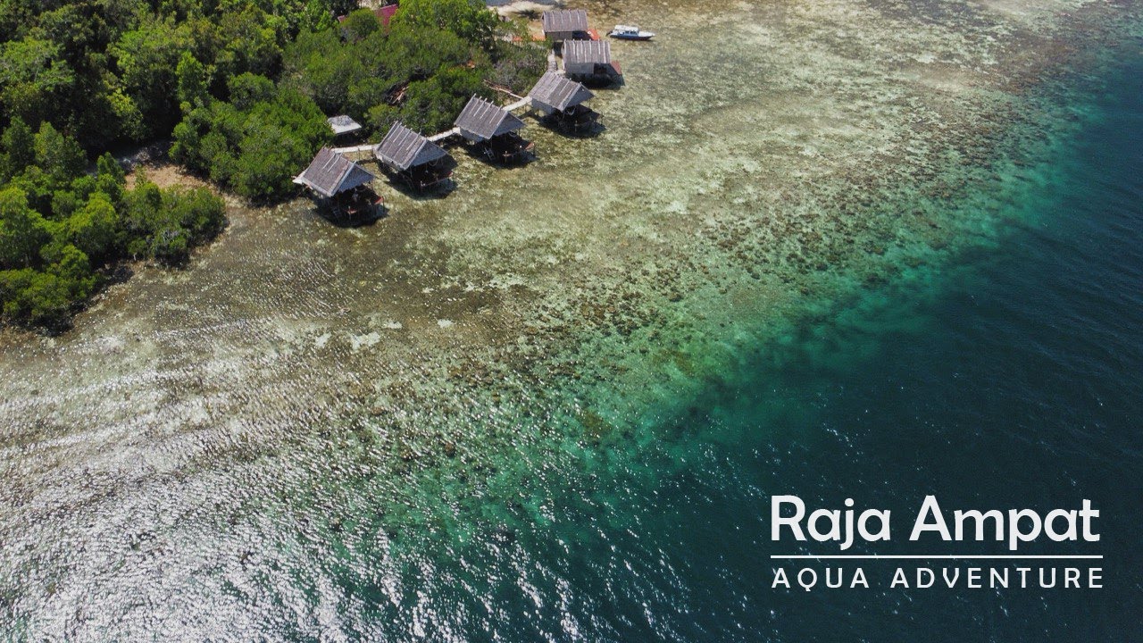 Raja Ampat | aqua adventure | FREEDIVING and SCUBA | 2023