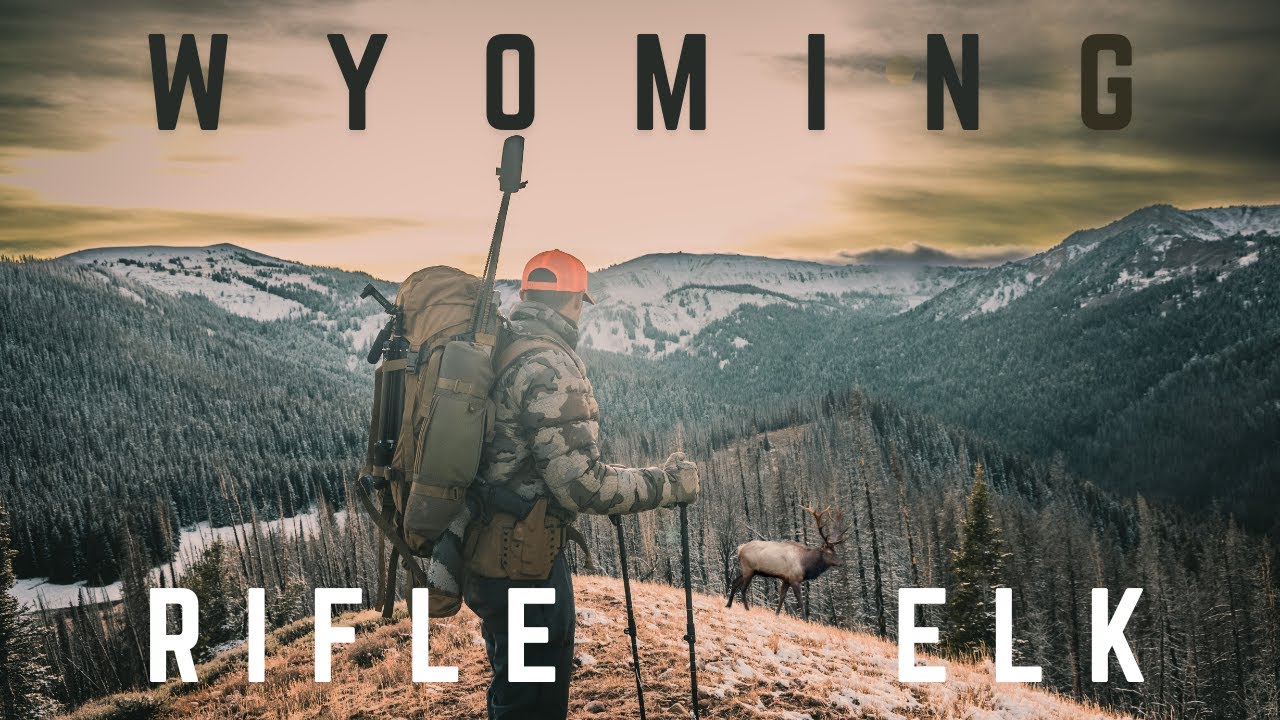 Wyoming Elk Hunting