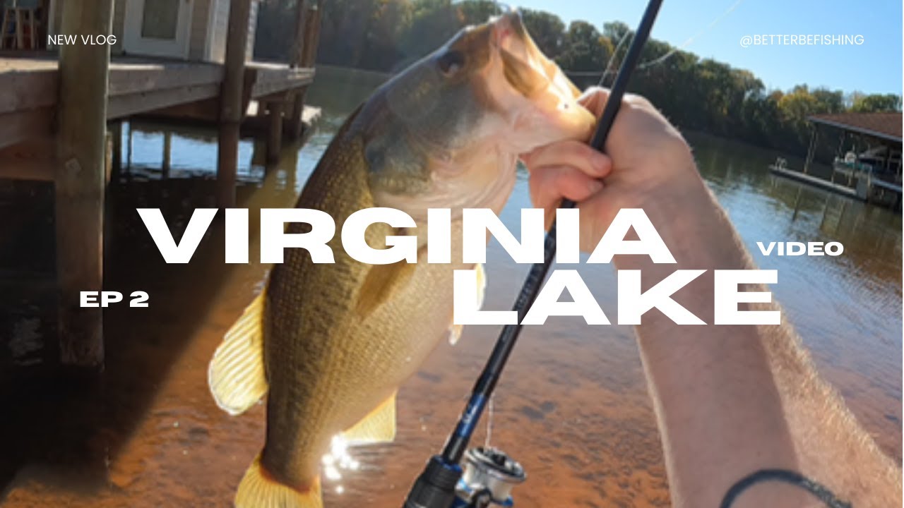 Catching LARGE MOUTH bass in VA