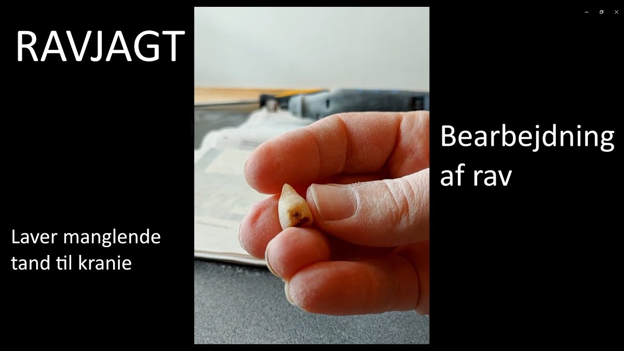 Bearbejdning af rav - Ravjagt