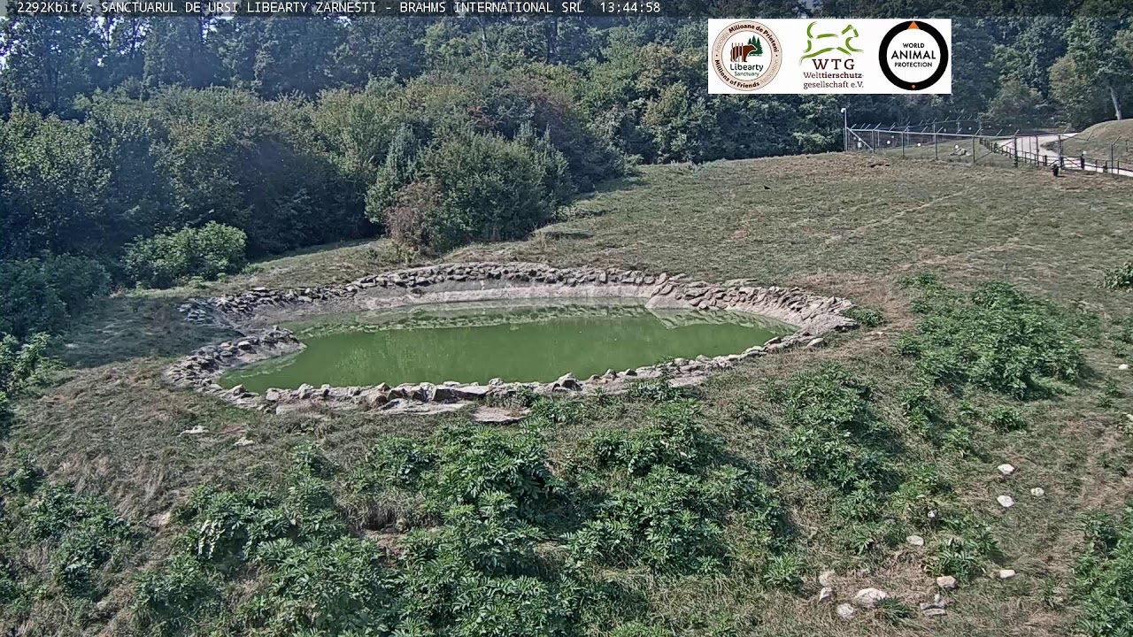 Sanctuarul de ursi Libearty Zarnesti