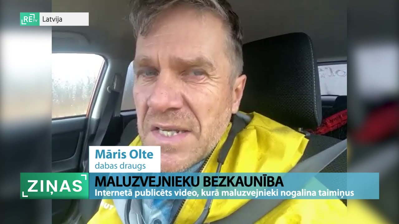 ReTV: Internetā publicēts video, kurā redzams, kā maluzvejnieki nogalina taimiņus