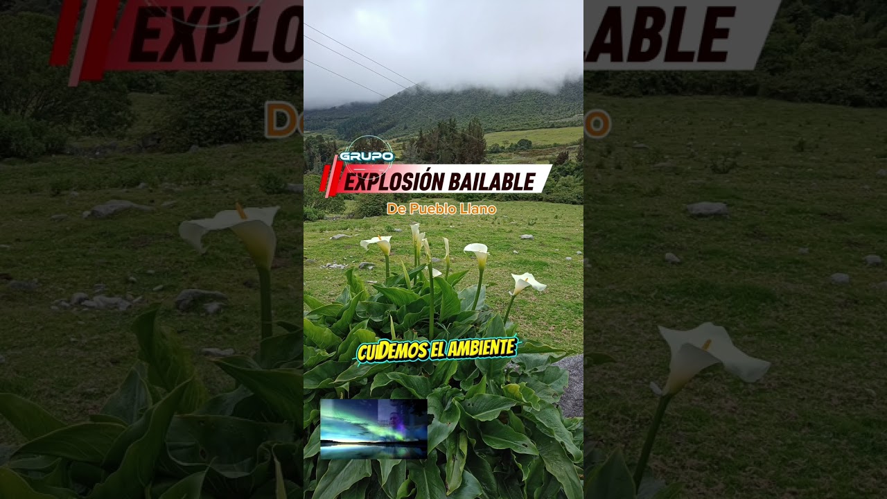  Explosión Bailable de Pueblo Llano ( Tema Cuidemos El Ambiente 