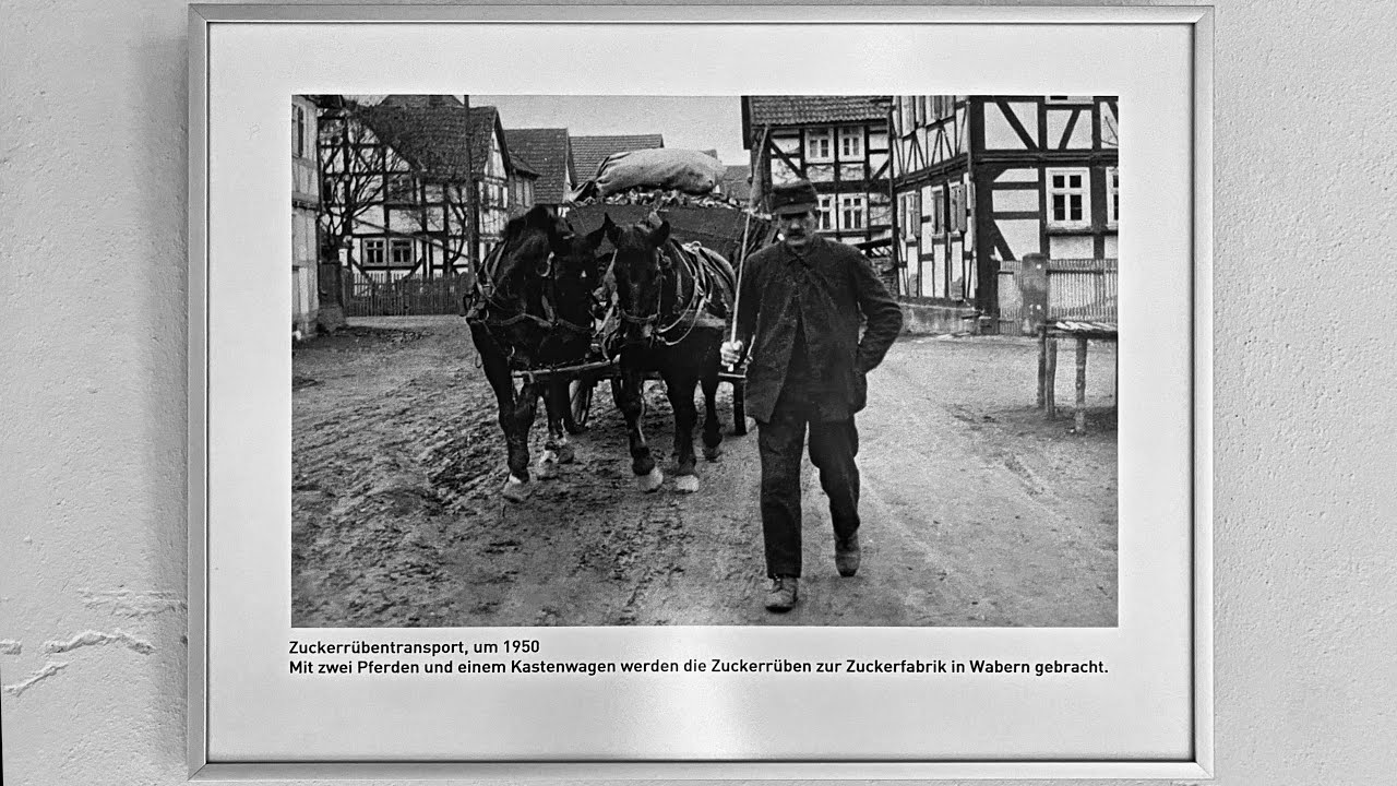 Museum Hochzeitshaus ca. 60 Historische Fotografien aus der heimischen Landwirtschaft 1900 bis 1960