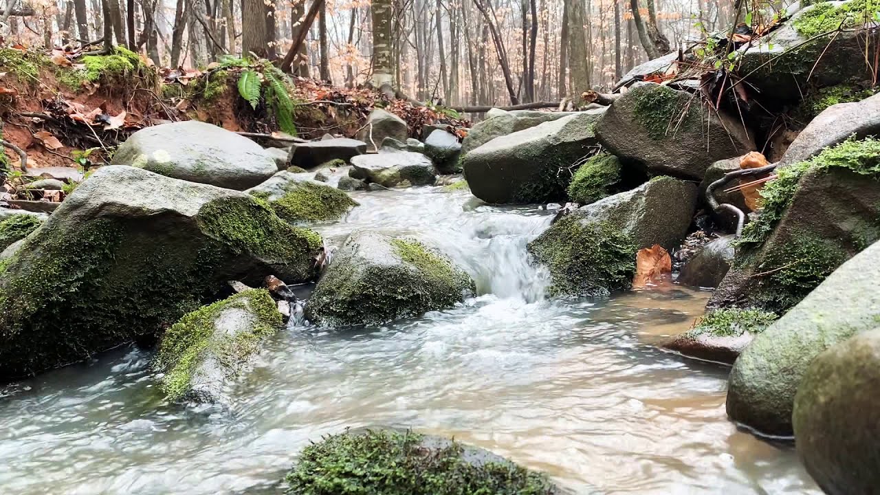 15 Minutes Water Flowing in Brook Sounds | Water Running Over Rocks | ASMR