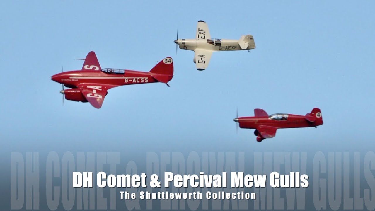 DH88 Comet & Percival Mew Gulls