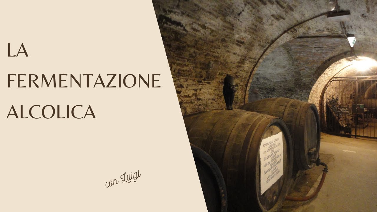 La fermentazione alcolica