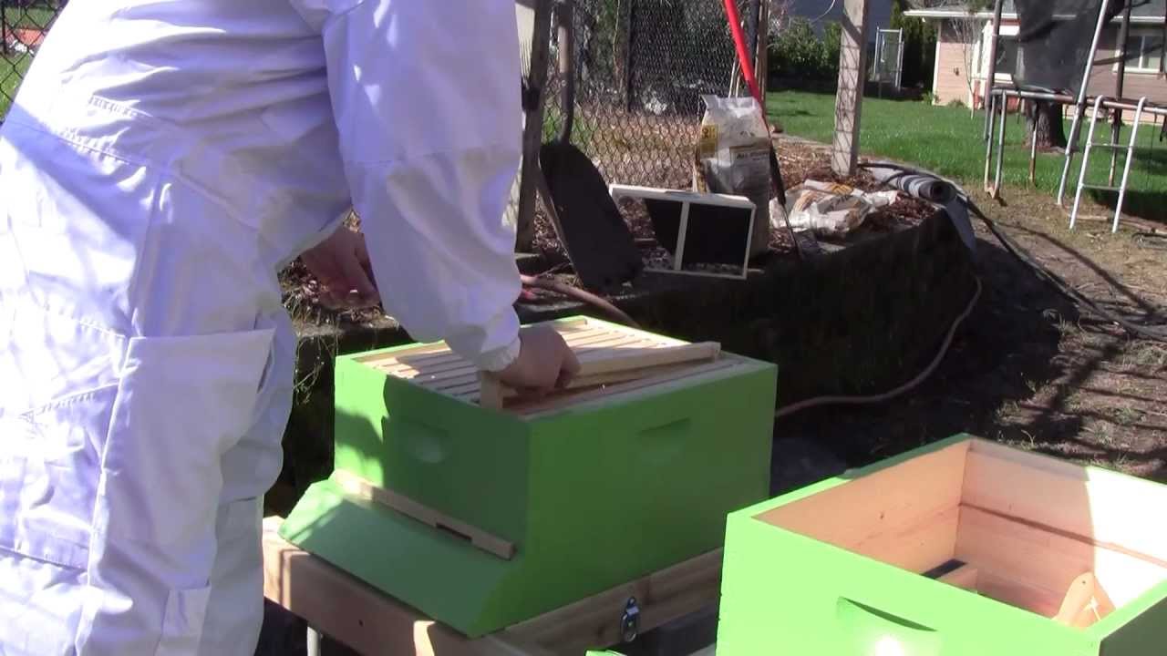 Bee Vlog #1 - April 7, 2012 - Part 1, Hive pieces
