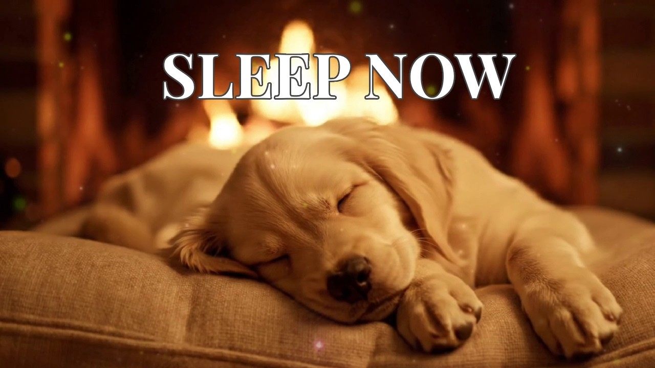 🔴 12 HOURS Sleep Instantly: Warm Fireplace Ambience & Soft Puppy Music for Anxiety Relief 🐾💤