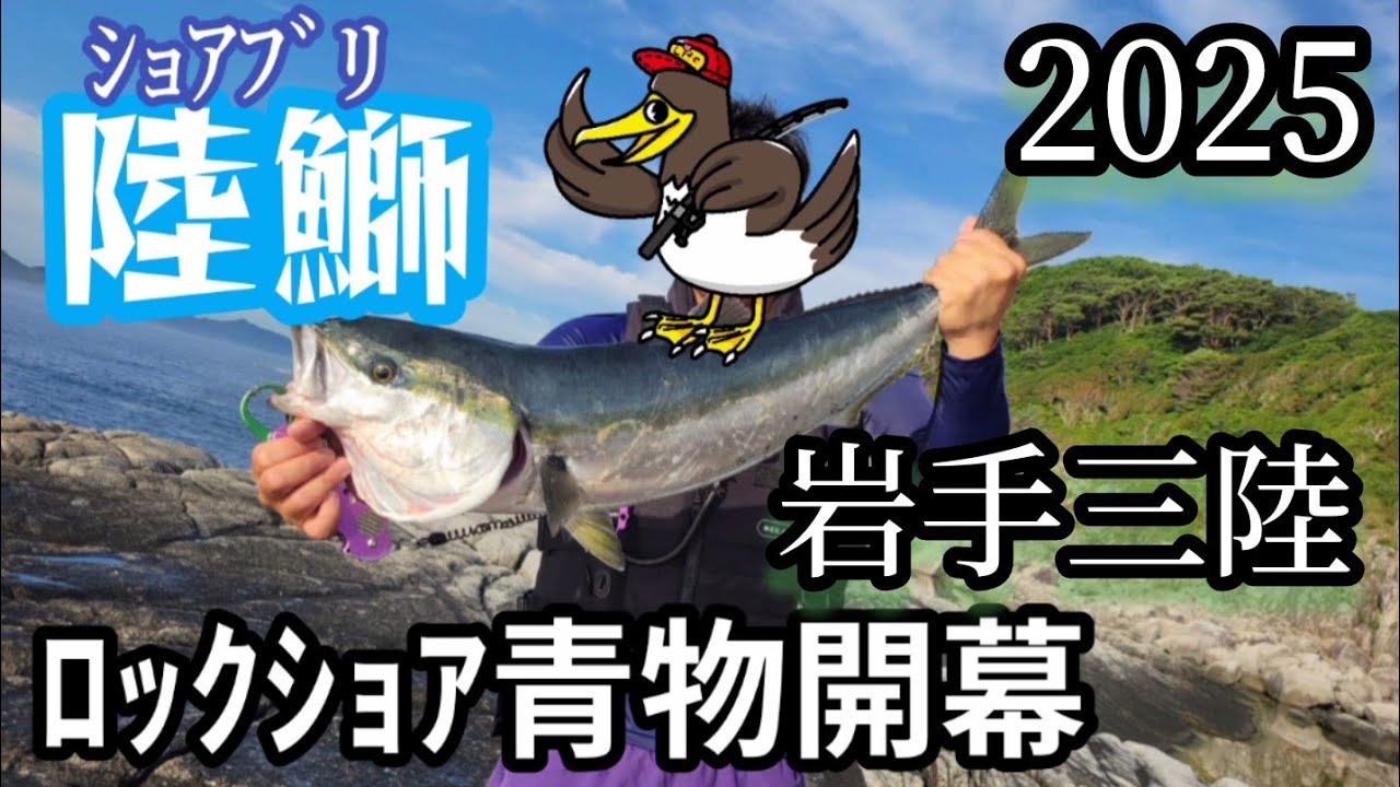 2025 ロックショア開幕 三陸ブリ イナダ ワラサ