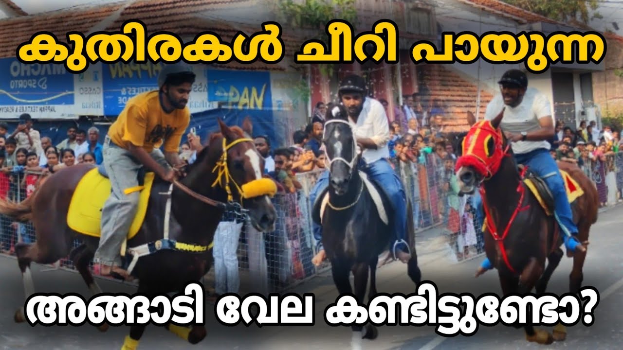 കുതിരയോട്ടത്തിന് പ്രസിദ്ധമായ Thathamangalam അങ്ങാടിവേല കണ്ടിട്ടുണ്ടോ?Thathamangalam Angadi Vela 2025