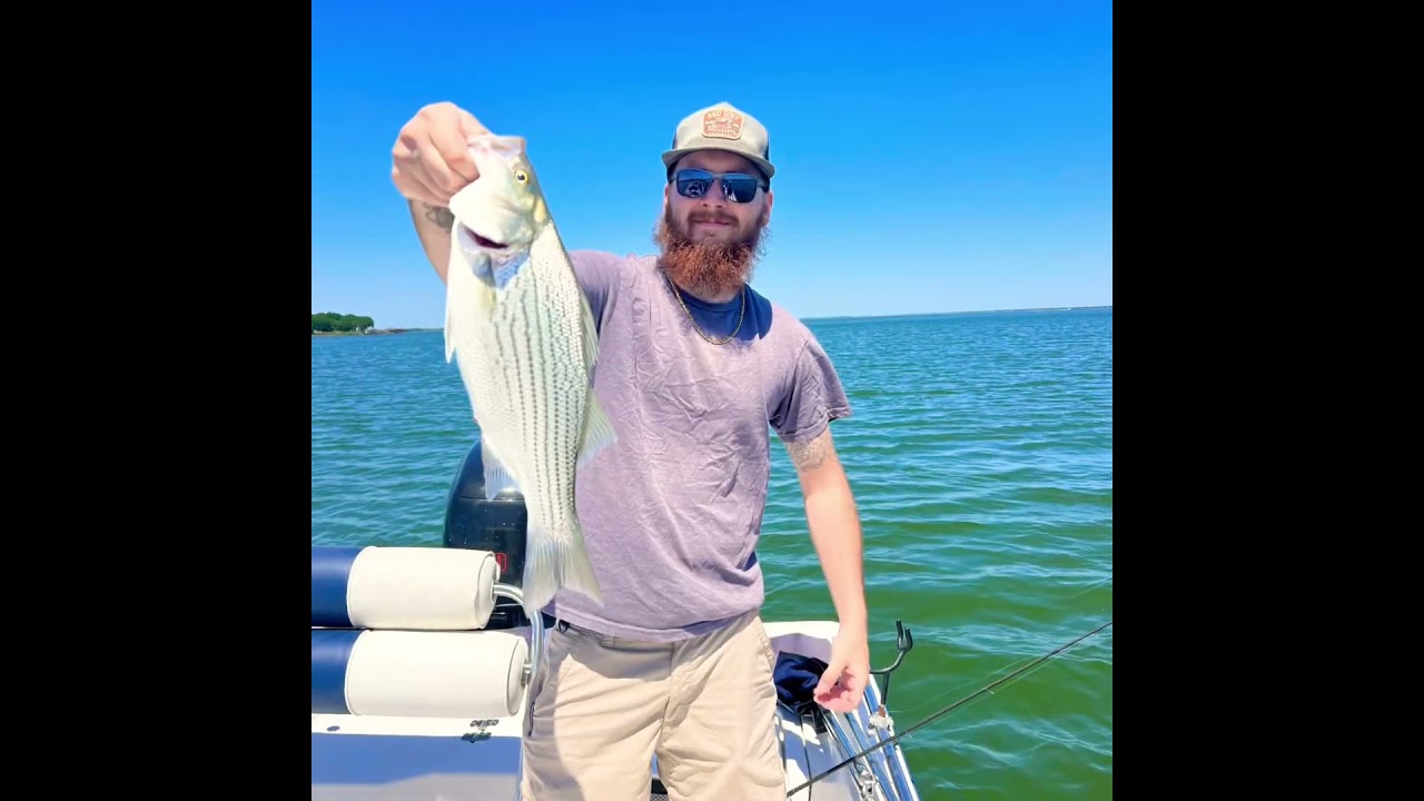 Got on the sandbass and hybrids today! #fishing #sandbass #hybrid #shorts #summer #catfishdaddy