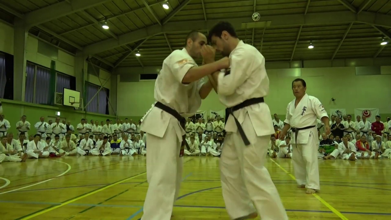 【新極真会】Dan Grading Test Valeri Dimitrov SHINKYOKUSHINKAI KARATE