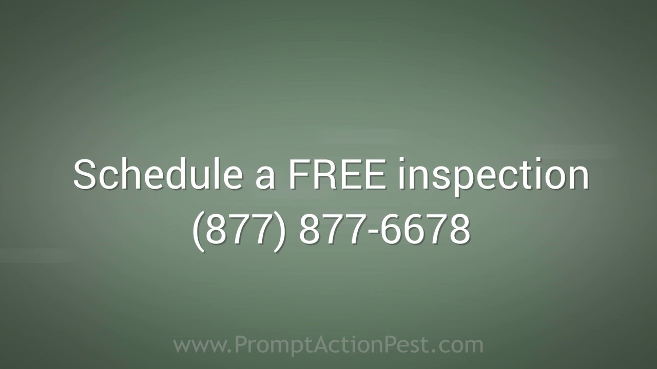 Prompt Action Pest Control (877) 877-6678