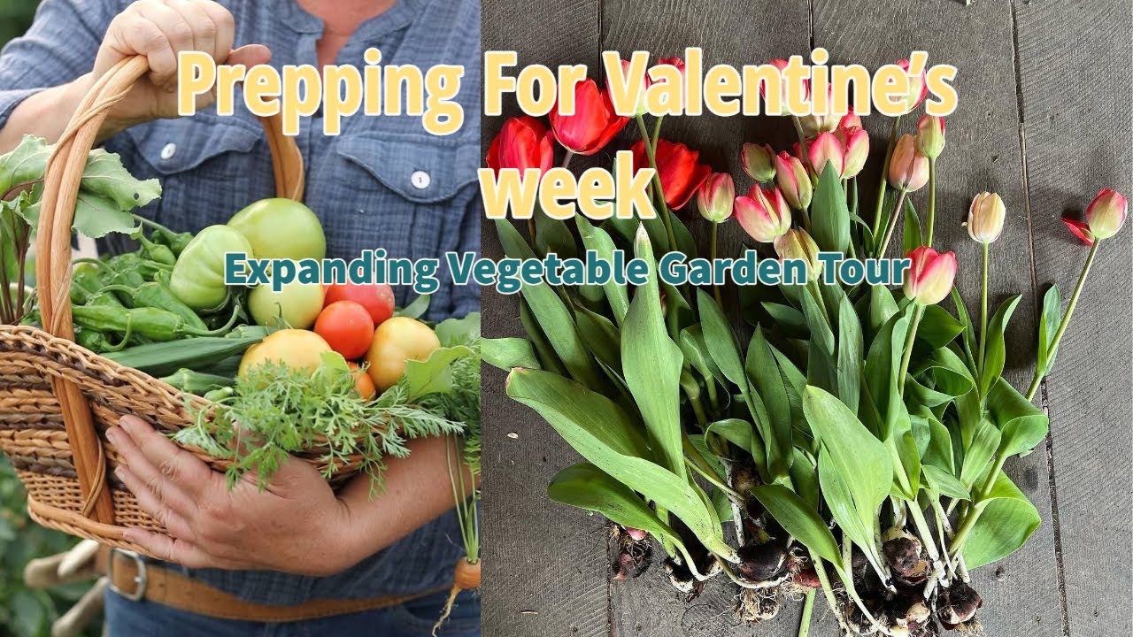 Prepping For Valentine's week \\ Dinner with J \\🍅 Expanding Vegetable Garden Tour | Vlog