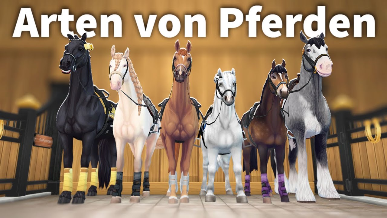 6 Arten von Pferden in SSO ♡