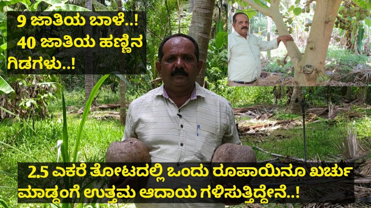 2.5 ಎಕರೆ ಕೃಷಿಯಲ್ಲಿ ಒಂದು ರೂಪಾಯಿನೂ ಖರ್ಚು ಮಾಡುತ್ತಿಲ್ಲ ಆದರೆ ಪ್ರತಿ ವರ್ಷ ಆದಾಯ ಜಾಸ್ತಿಯಾಗುತ್ತಿದೆ...!