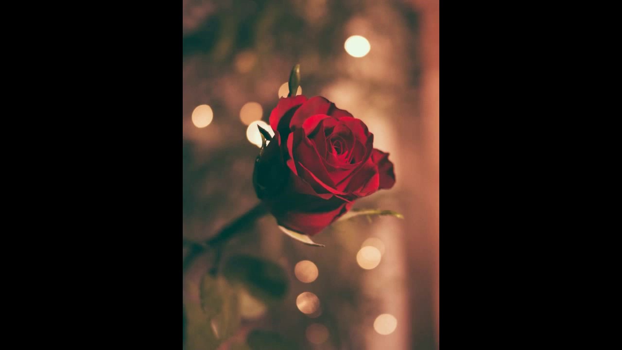 Healing abandonment wounds with Mother Mary (Twin Flame Meditation)