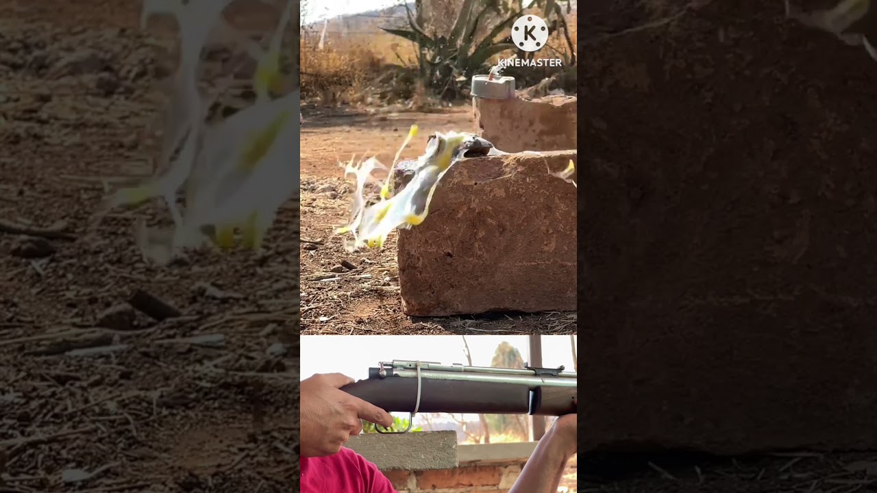 disparo rifle Benjamin sheridan
