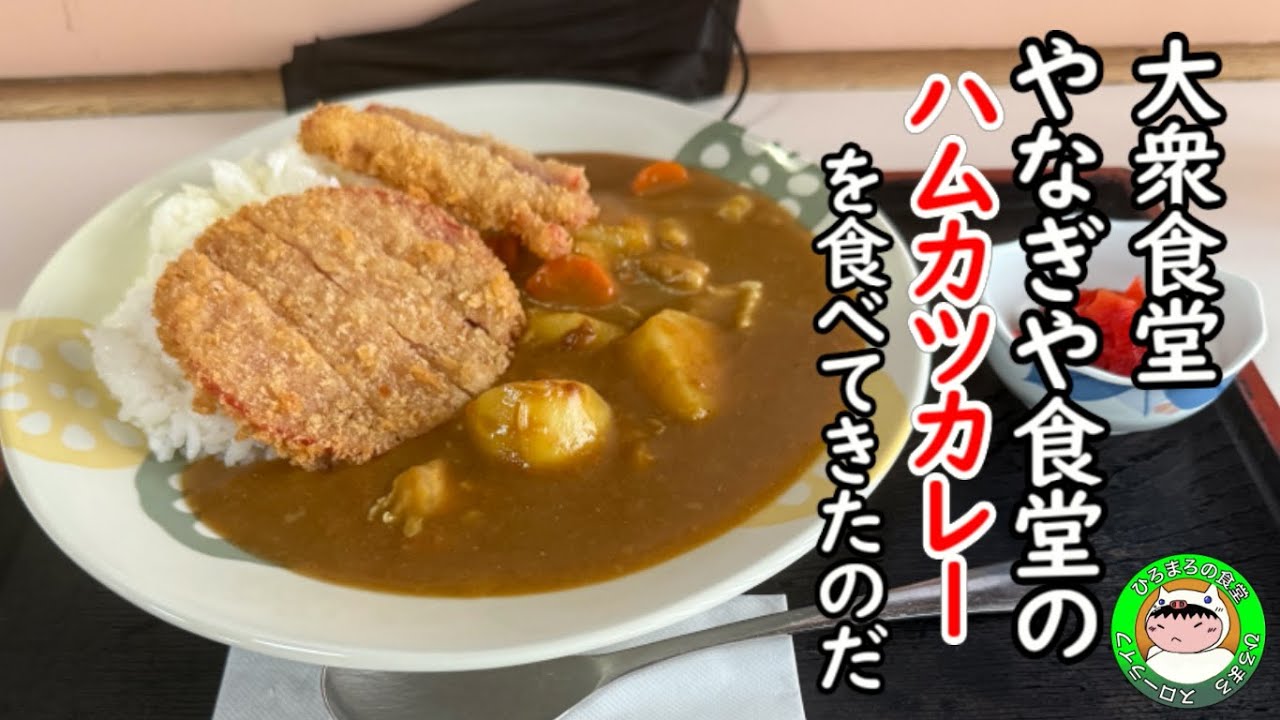【千葉食堂】柏市のやなぎや食堂さんで激安ハムカツカレーを食べて来ました