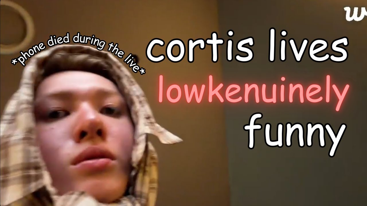 cortis lives are lowkenuinely funny