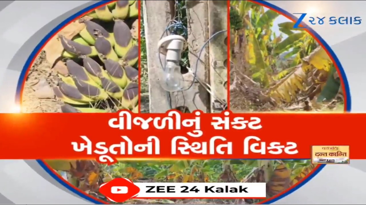 Bharuch: તંત્રની આળસ કે ખેડૂતોની કમનસીબી? 25થી વધુ બોરની મોટર બંધ, રજૂઆતો છતાં પરિણામ શૂન્ય