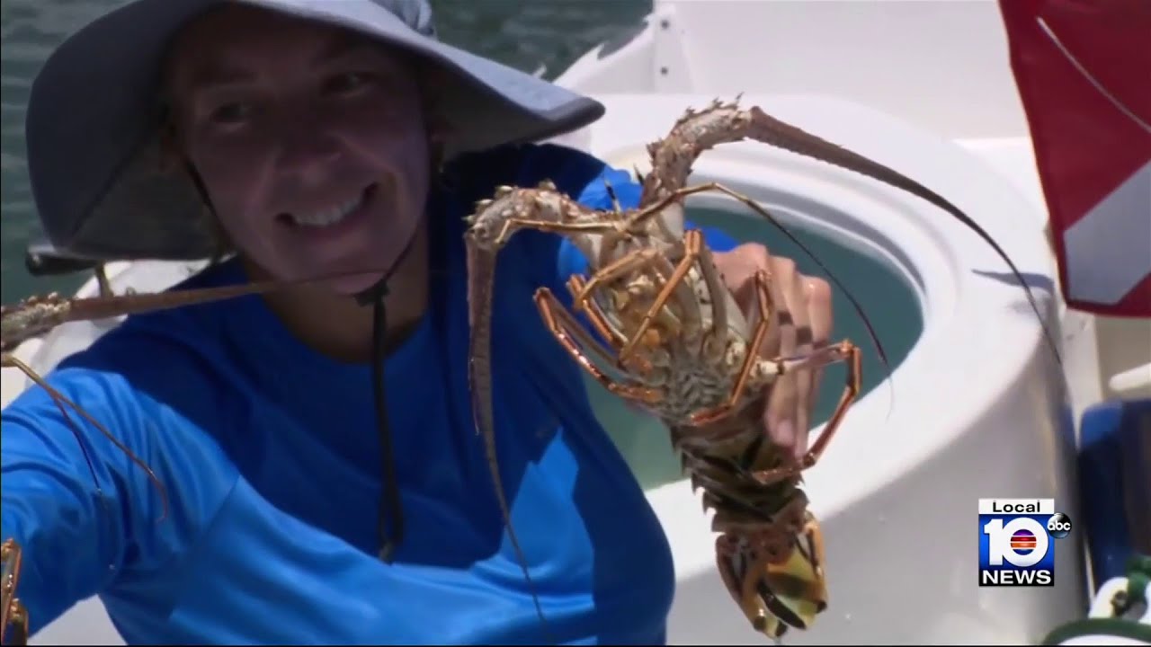 Day 1 of lobster mini-season in South Florida brings several emergencies, rescues
