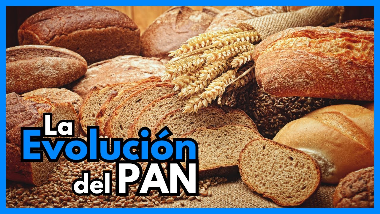 La EVOLUCIÓN del PAN