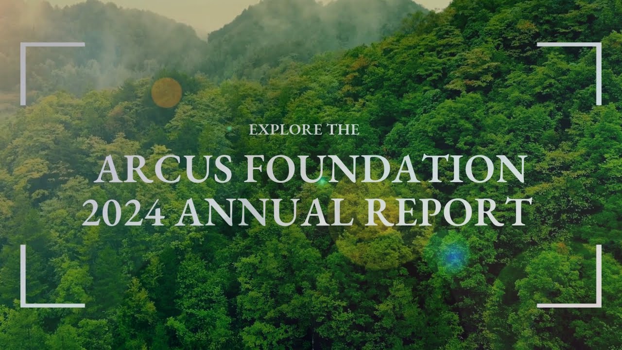 Arcus 2024 Report: Building Movements for Sustained Impact